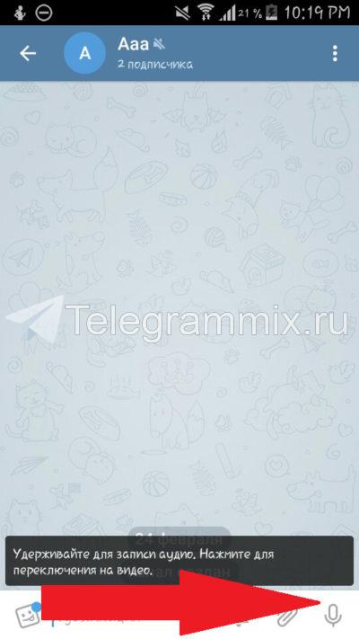 Как отправлять видеосообщения в телеграм