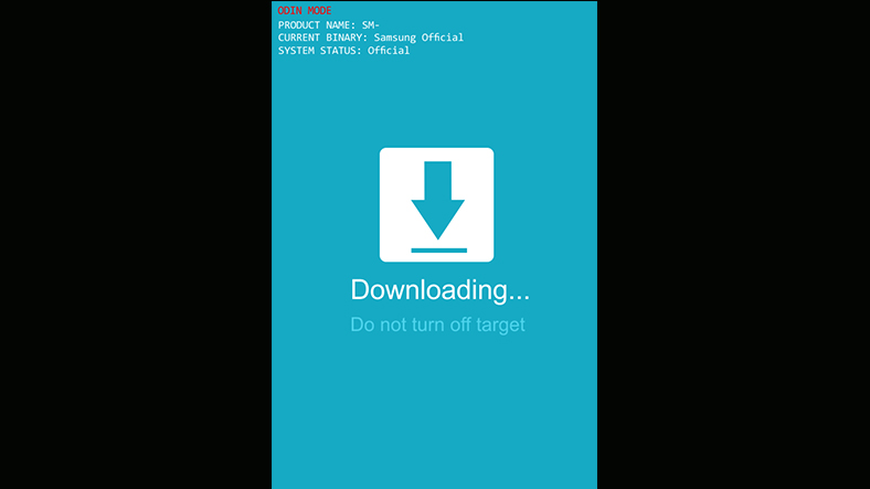 Что такое downloading. Downloading do not turn off target. Downloading do not turn off target Samsung. На самсунге downloading do not turn off target. Самсунг синий экран downloading.