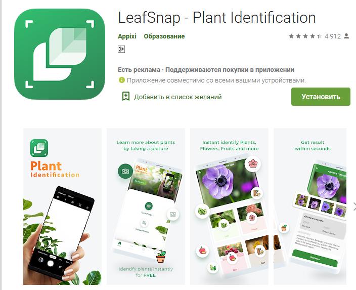 Приложение распознавание растений по фотографии онлайн бесплатно