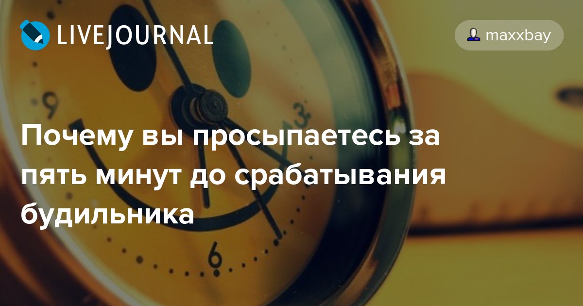 27 интересных фактов о дуэйне джонсоне