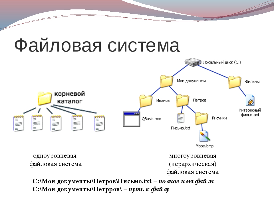 Файлы содержащие информацию пользователя. Структура файловой системы схема. Сетевая структура файловой системы. Файловая структура в Ворде. Дерево файловой структуры.