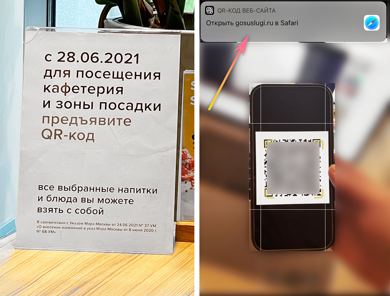 Как получить qr-код после прививок от ковида | финтолк