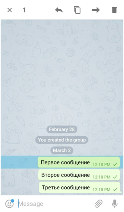 Одна галочка в телеграмме: что значит синяя и зеленая, как понять что сообщение доставлено и прочитано