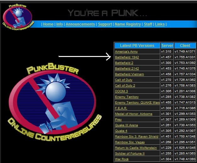 Punkbuster. Punkbuster services что это за программа. Punkbuster services что это.