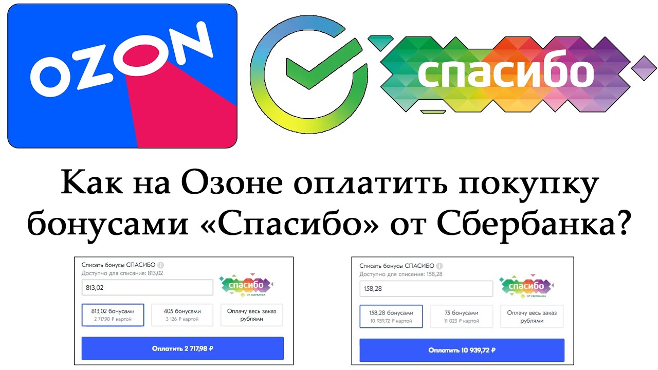 Как оплатить бонусами спасибо на озоне: условия и инструкция