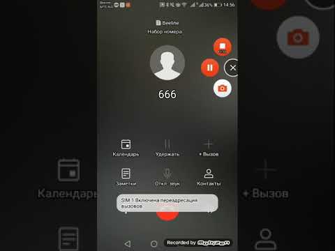 Чей номер 666 фото человека