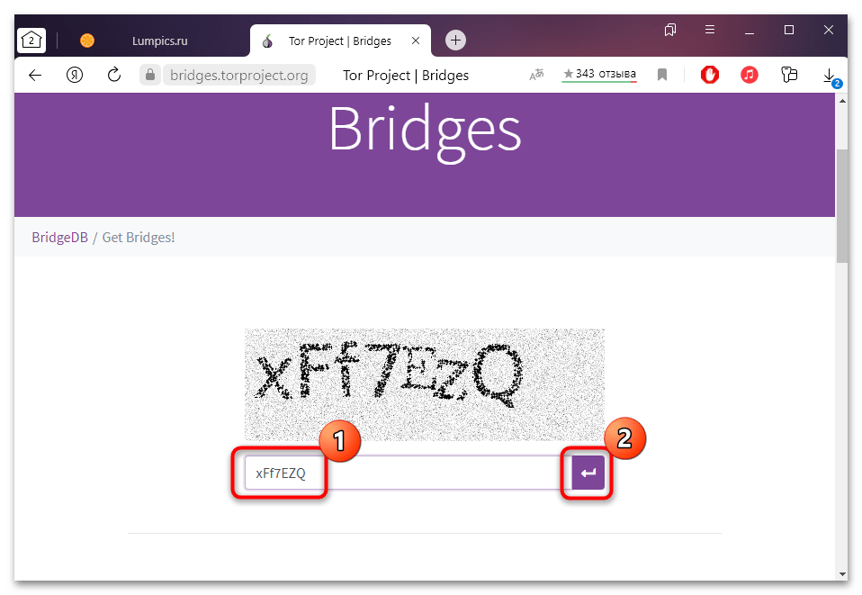 Tor browser для windows: как настроить, где скачать бесплатно русскую версию, как установить