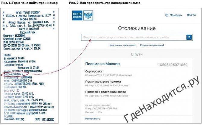 Сдэк - отслеживание посылок и грузов по номеру накладной  и трек-номеру заказа (edostavka)