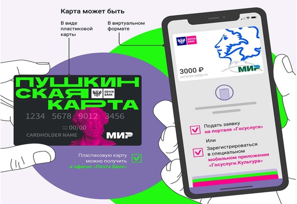 Год «пушкинской карте»: промежуточные итоги - елена сердечнова