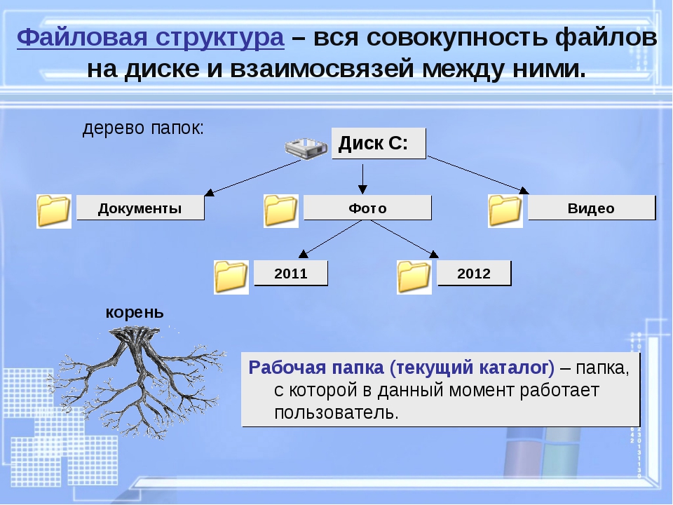 Файлы и файловые структуры презентация 7 класс босова