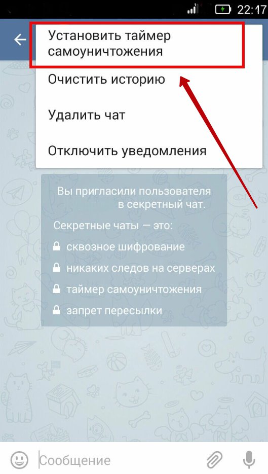 Поставь удаленную. Как убрать таймер в телеграмме. Удалить чат в телеграмме. Как очистить смс. Удалился секретный чат.