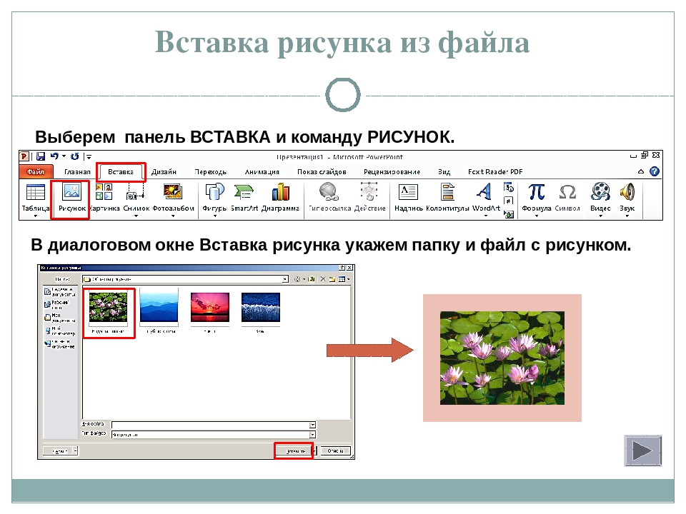 Где поместить изображение. Рисунки для вставки. Вставка рисунка из файла. Как вставить картинку в презентацию. Рисунки для вставки в презентацию.