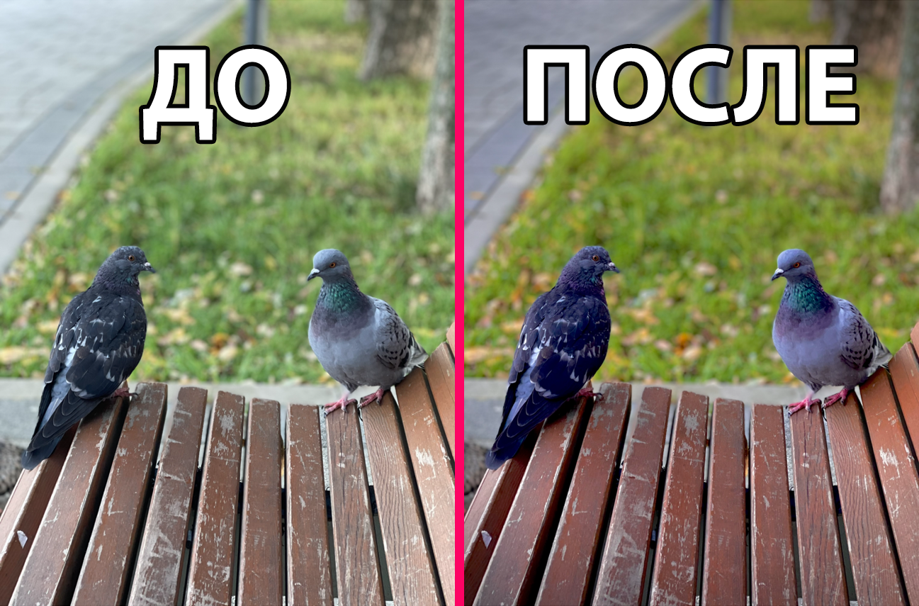 15 лучших фоторедакторов для андроид в 2022 году