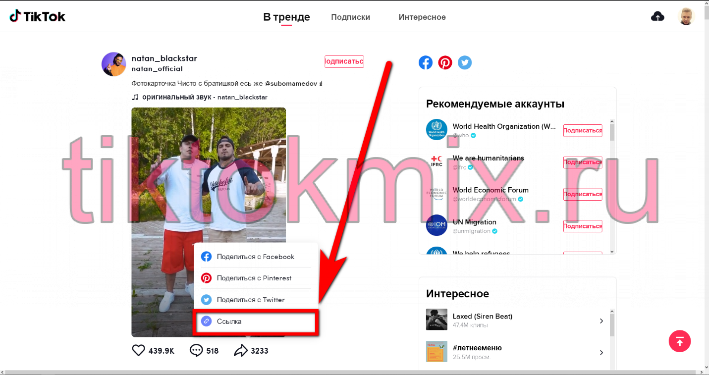 Найти в тик ток человека, песню, видео или аккаунт