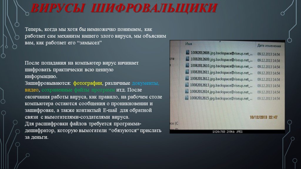 Среди 24 колб 2 с вирусом. Вирус шифровальщик. Компьютерный вирус шифровальщик. Вирус зашифровано. Вирус расшифровка.