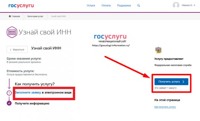 Как получить (узнать) свой инн через интернет повторно физическому лицу?