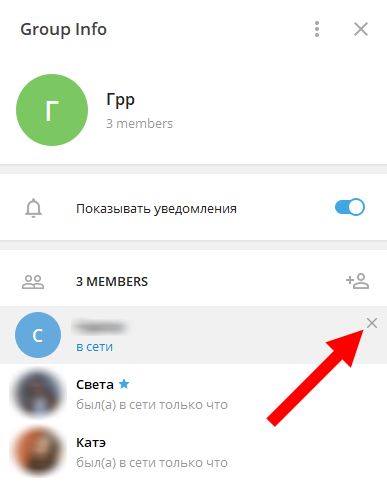 Как удалить участник группы. Как удалить группу в телеграмме. Как удалить участника из группы в телеграмме. Удаленная группа в телеграмме. Удалиться из группы телеграмма.