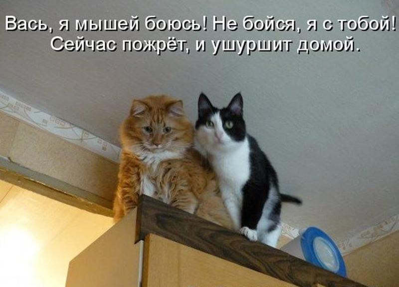 А ты боялась картинки