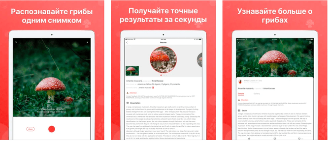 Метаданные – как узнать, где была сделана фотография? – withsecurity.ru