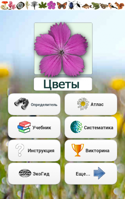 Приложение для определения растений по фотографии на русском языке