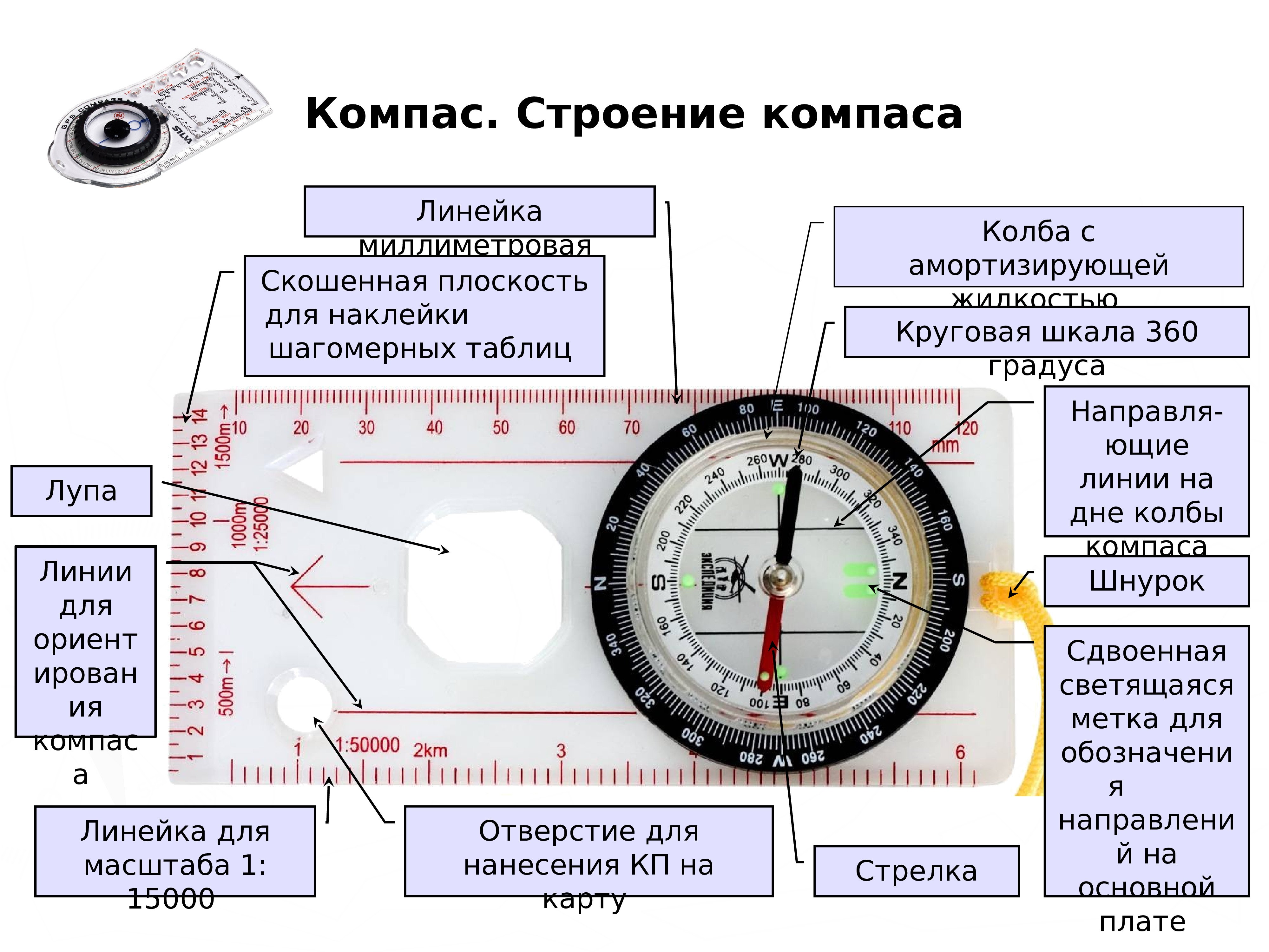 Компас онлайн – как определить стороны света в квартире