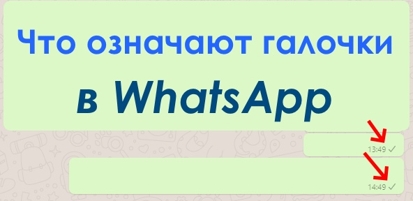 Почему в whatsapp галочки не синеют при прочтении