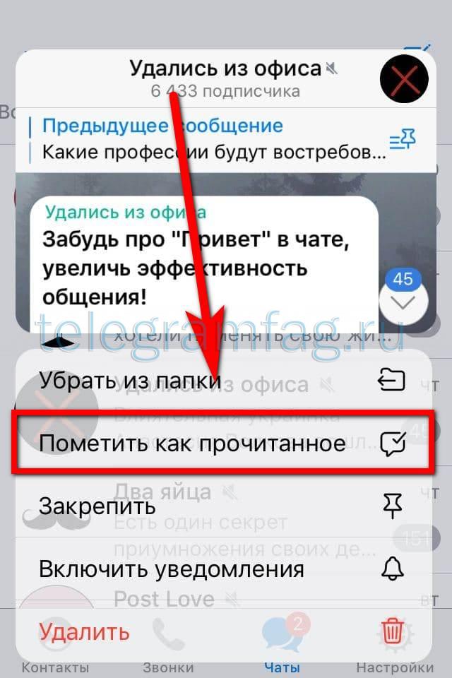 Почему в телеграмме прочитаны сообщения. Прочитанное сообщение в телеграмме. Как прочитать переписку в телеграмме. Режим невидимки в телеграмме. Телеграмм оффлайн.
