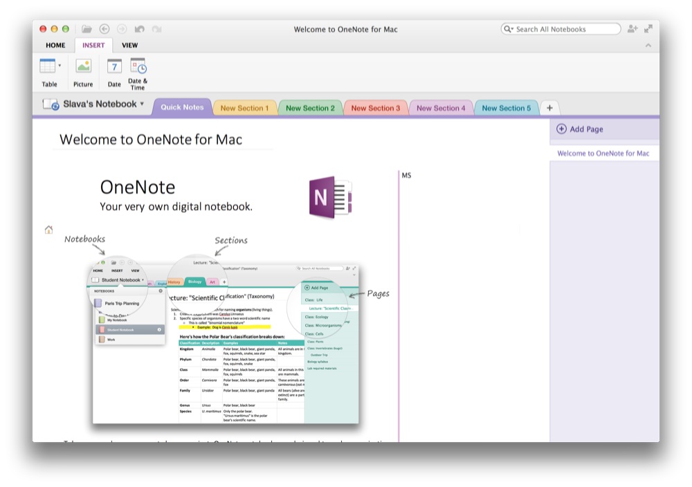 Onenote for windows 10. Блокнот ONENOTE. ONENOTE записная книжка. ONENOTE на Mac. ONENOTE Старая версия.