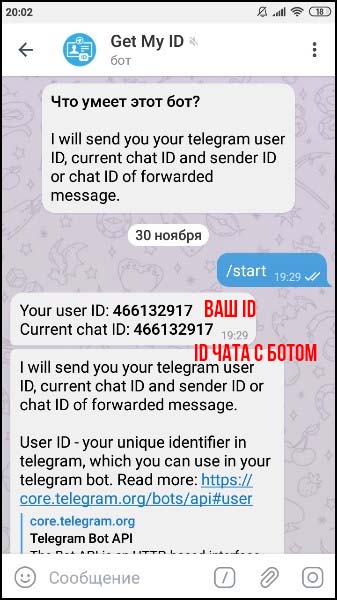 Your chat id. ID В телеграмме. Как узнать chat ID. Chat ID Telegram. Как найти ID чата в телеграм.
