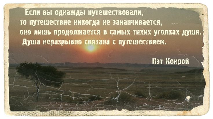 Как сэкономить на покупке телефона