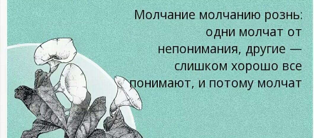 Мы считаем свои мнения самыми верными. но это поправимо