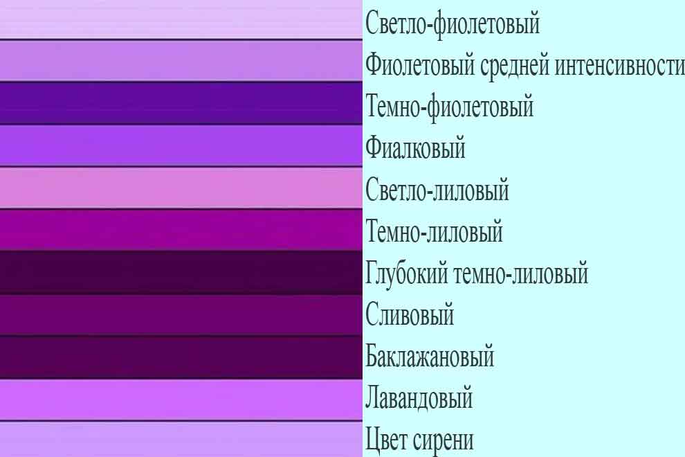 Инстаграм: что это такое, что делать в этой сети, как использовать для бизнеса, что дает маркетингу